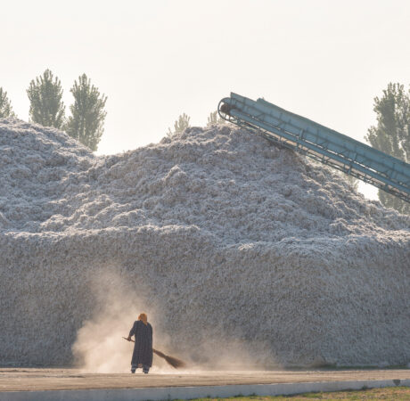 Evaluation of coton ginning factories